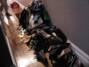 purging-closet-1
